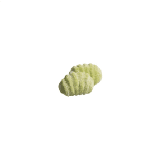 HUGLI MR Gnocchi ze szpinakiem 2,5kg -zdjęcie numer 1