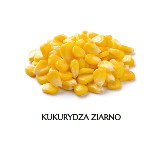 * MR KUKURYDZA ZIARNO 2.5KG KINGFOOD -zdjęcie numer 1