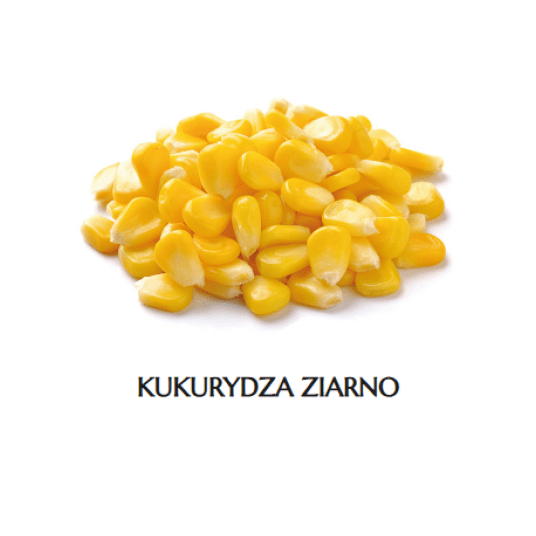 * MR Kukurydza ziarno K /4x2,5kg ADMAT -zdjęcie numer 1