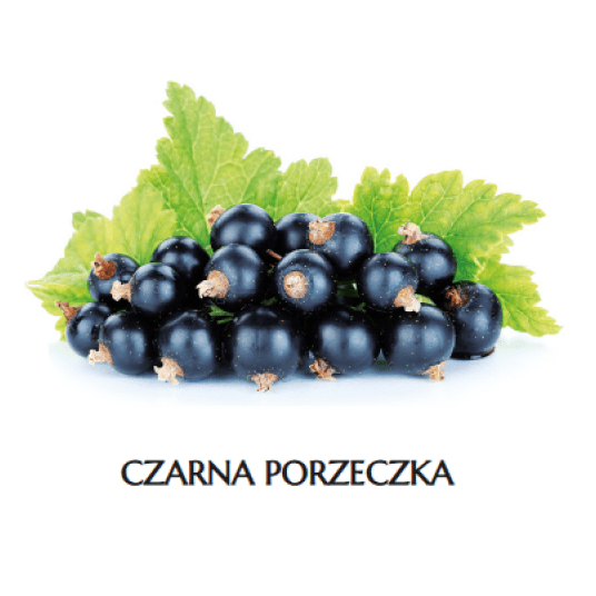 * MR Porzeczka CZARNA K/4x2,5 kg ADMAT -zdjęcie numer 1