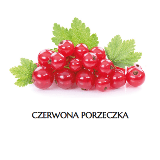 * MR Porzeczka CZERWONA K/4x2,5 kg ADMAT -zdjęcie numer 1