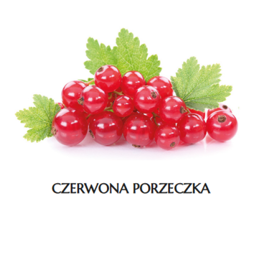 * MR Porzeczka CZERWONA K/4x2,5 kg KINGFOOD -zdjęcie numer 1