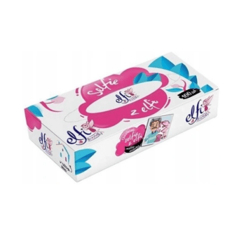 Chusteczki higieniczne kartonik(100) k/40