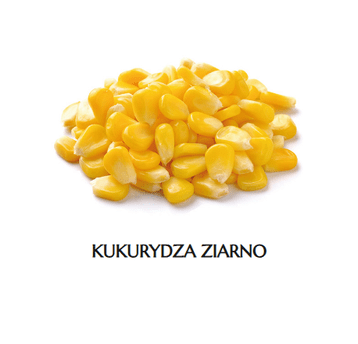 * MR KUKURYDZA ZIARNO 2.5KG KINGFOOD