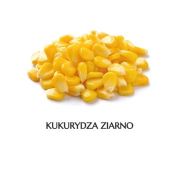 * MR Kukurydza ziarno K /4x2,5kg ADMAT