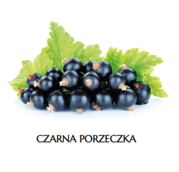 * MR Porzeczka CZARNA K/4x2,5 kg ADMAT