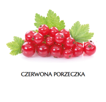 * MR Porzeczka CZERWONA K/4x2,5 kg ADMAT