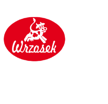 WRZOSEK Maślanka Spożywcza 10l.